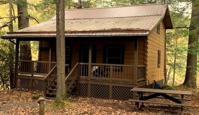 Charming Spacious Cabin Ideal for Families or Small Groups in West Virginia