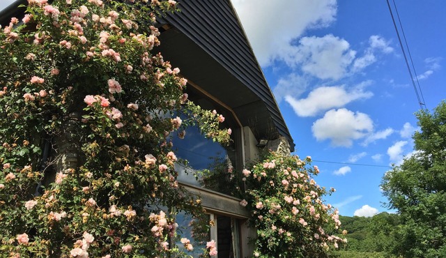 Charming stone barn conversion in Somerset