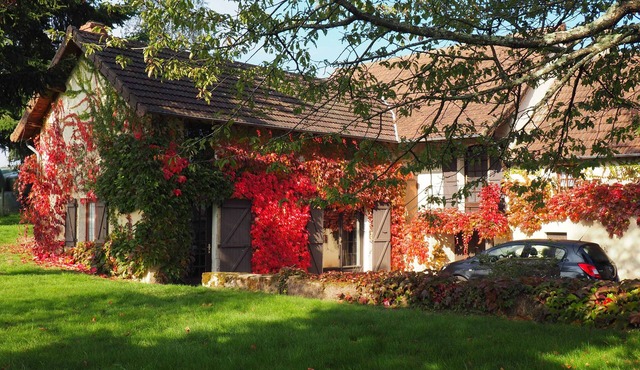 Charming stone cottage on its own land in Southern Burgundy
