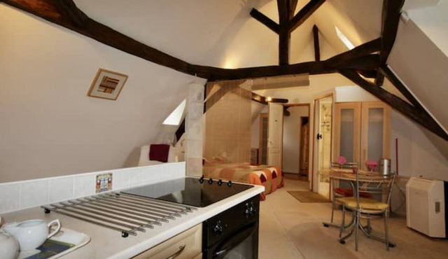 Charming studio apartment - La Gentilhommière (PV)