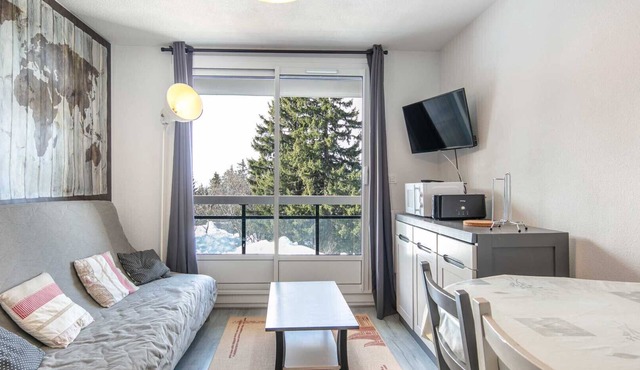 Charming studio apartment, sleeps 6-7, mountain view