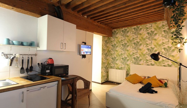Charming Studio Centre Ville De Lyon