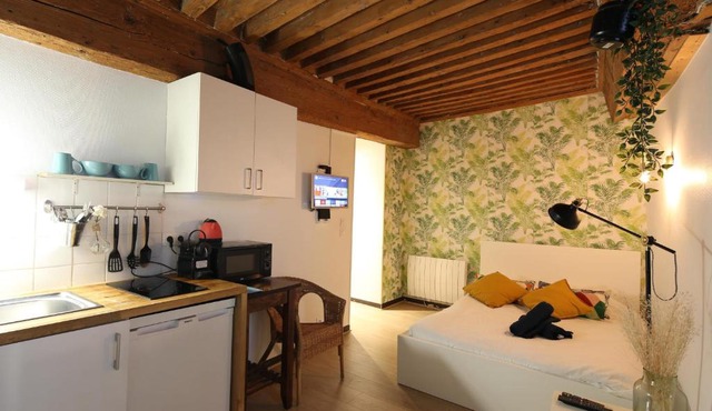 Charming Studio Centre Ville De Lyon