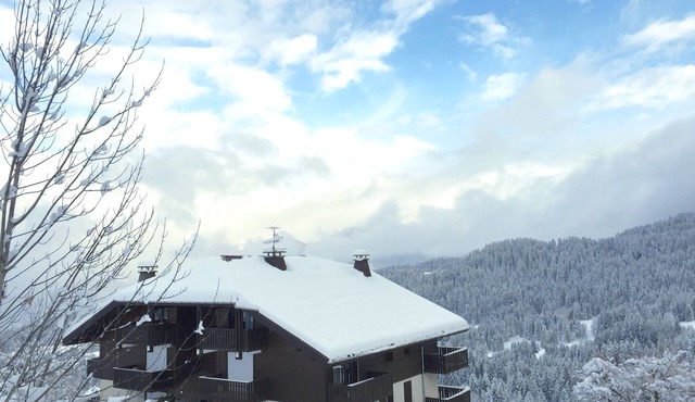 Charming studio facing Mont Blanc