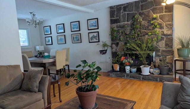 Charming studio in bungalow in green area.