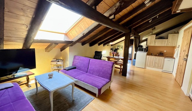 Charming studio in farmhouse with terrace and parking - Vosges mountains