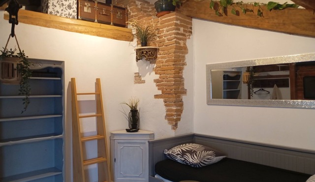 Charming studio in the heart of Toulouse