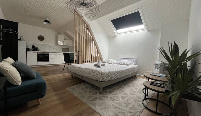 Charming studio in the heart of Angers – 2 guests