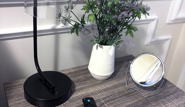 Charming Studio in Vibrant Manayunk Philadelphia