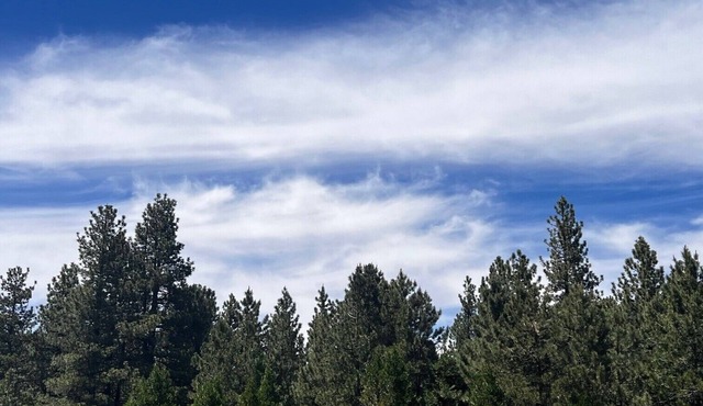 Charming studio in enchanting Springfield-TEST LISTING!