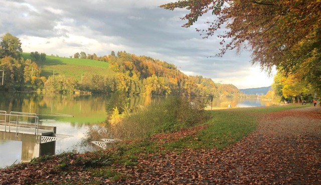 Charming Studio near Rotsee Lucerne Kitchen, WiFi, Washing machine