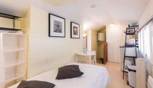 Charming studio under the roof in Grenoble city center