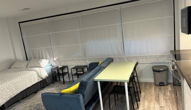 Charming Studio with all amenities in downtown Silver Spring