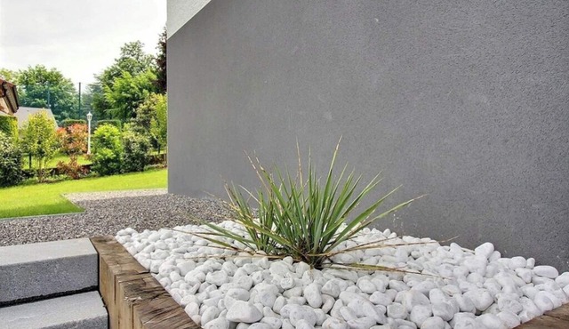 Charming studio with garden view