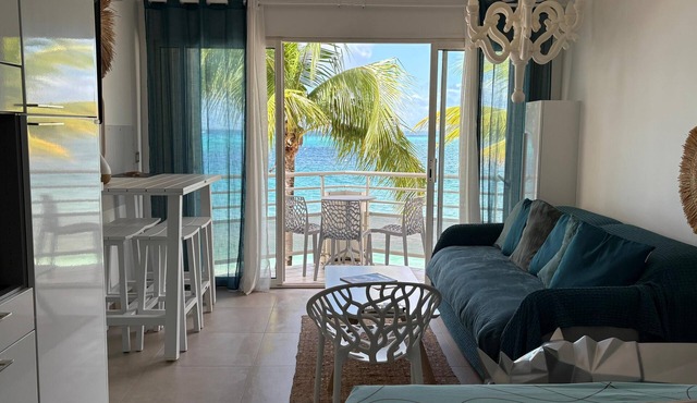 Charming studio with splendid Caribbean Sea view & pool/beach access