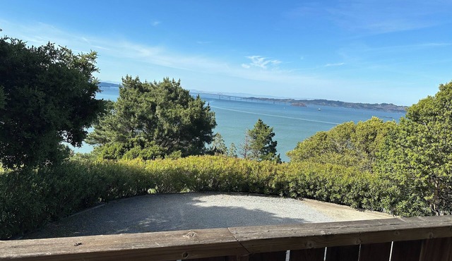 Charming studio with views of Bay in Tiburon, CA. Private entrance.