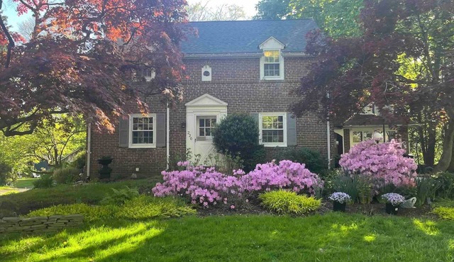 Charming Swarthmore Summer Sublet w/Cat sitting opportunity