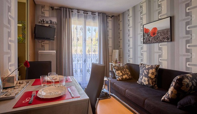 Charming T1 bis with balcony, pets allowed