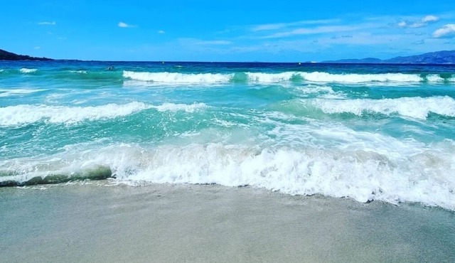 Charming T2 between sea and mountain