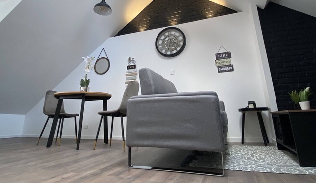 Charming T2 fully equipped renovated