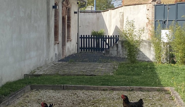Charming T2-house on the outskirts of Toulouse