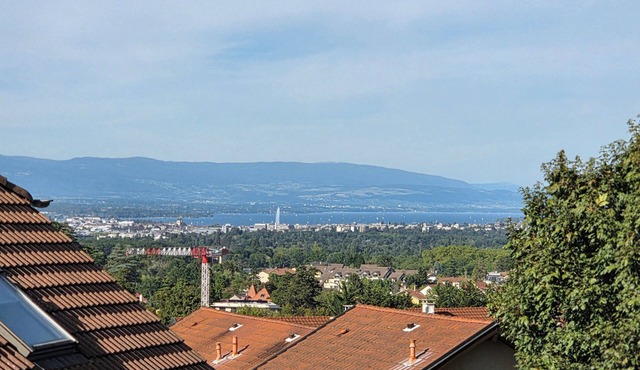 Charming T3 duplex, 67m2 13m2 outdoor terrace, 1km from Geneva, parking box.