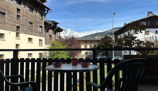 Charming T3 in Combloux Center - Pets and Parking Included