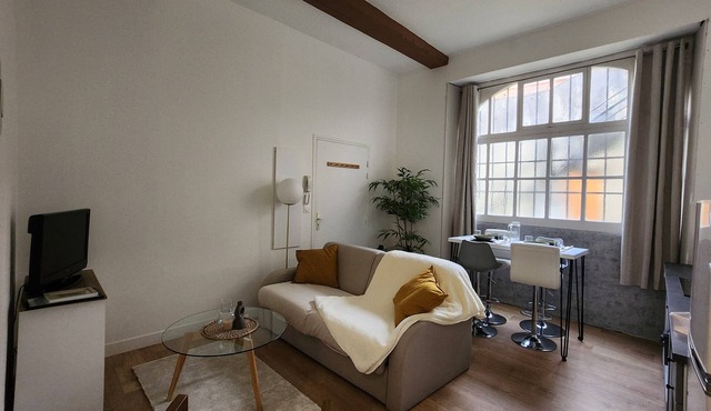 Charming T3 in the heart of Orthez