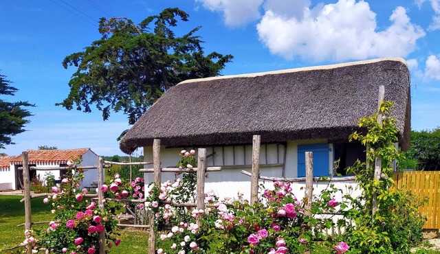 Charming thatched cottage rental in the heart of the Vendée Breton marshlands near the beaches