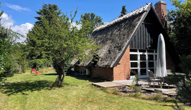 Charming thatched cottage near the water