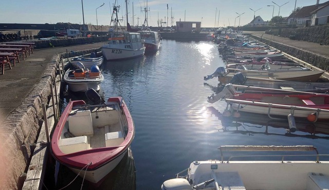 Charming town house located in idyllic Årsdale