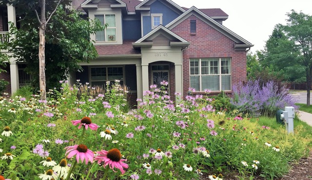 Charming Townhouse Close to Parks and the Lowry Town Center