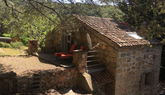 Charming traditional home in the quiet groves. 10 minutes from beaches