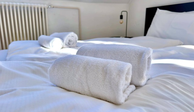 Charming Two-bedroom Attic Flat in Zurich City Center