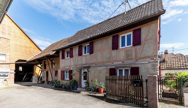 Charming typical gîte "Chez Alexandra" Centre Alsace Near Europapark