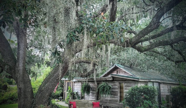 Charming Unique Cabin:nThe LiTTLe House in the Inlet!