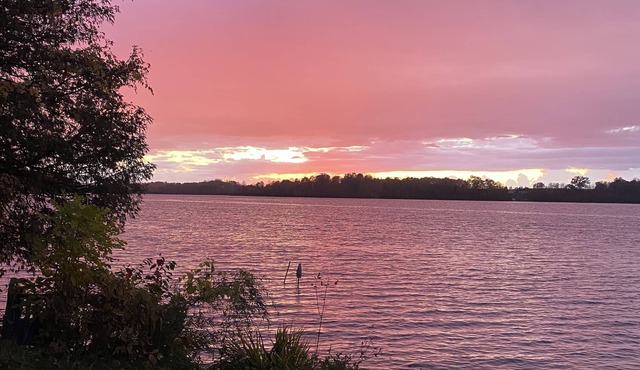 Charming up north cottage on all sports Peach Lake!