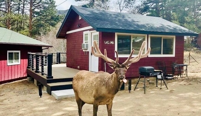 Charming Updated Rustic Studio. Excellent Location Close to Town & RMNP!
