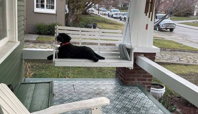 Charming urban oasis 2-bedroom historic bungalow with AC in charming Wenatchee