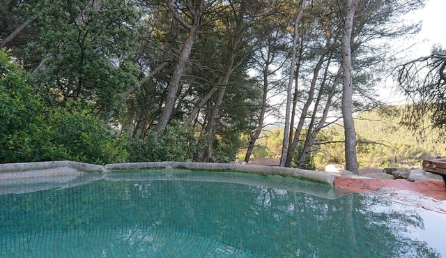 Charming villa with swimming pool in a pine forest