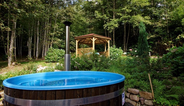 Charming villa for 10 people Spa -Plateau 1000 étangs in the Vosges du Sud.