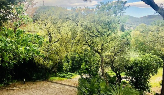 Charming villa, garden, beach and port 7 min walk, reversible air-conditioning, boules court.