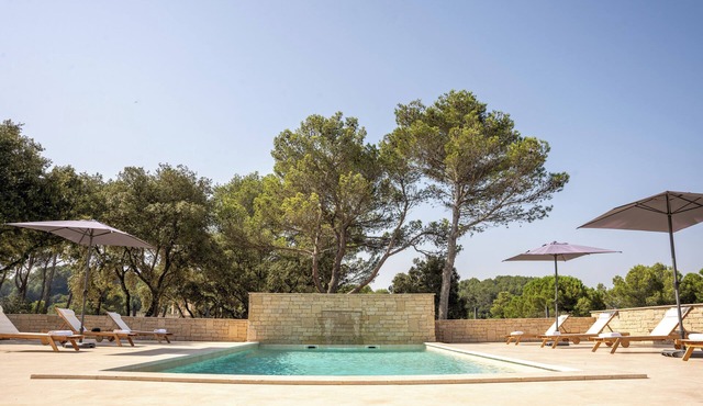 Charming villa with outstanding view on Alpilles