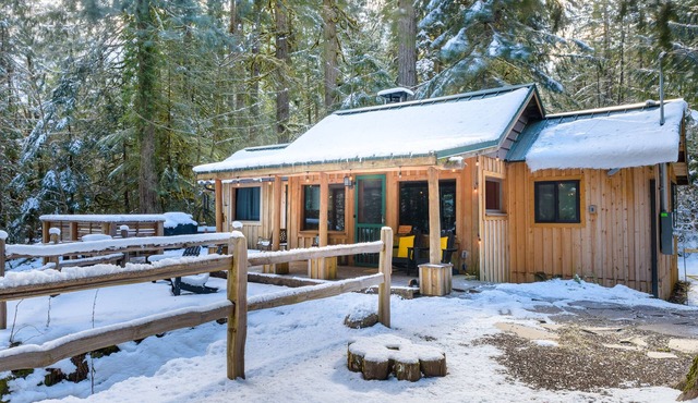 Charming vintage cabin ,hot tub, wood stove, game room, secluded !