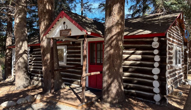 Charming "Vintage" Style Mountain Cabin Under the Pines