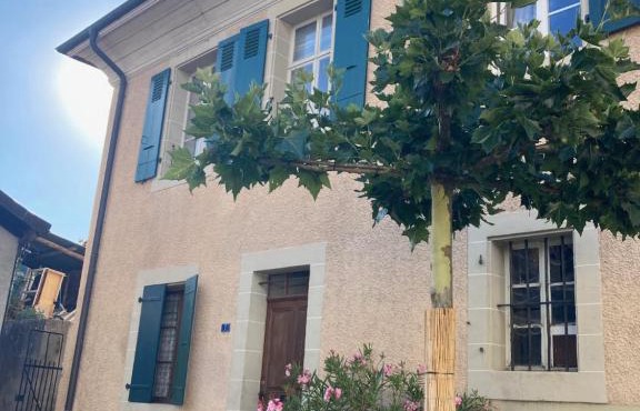 Charming Vinyard House - Lake Geneva