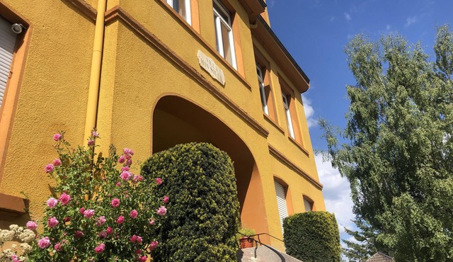 Charming Vosges Loft - Family-Owned Mountain Haven with Mountain Views