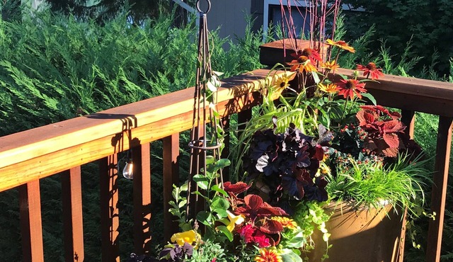 Charming Waterfront Cottage on Treasure Island