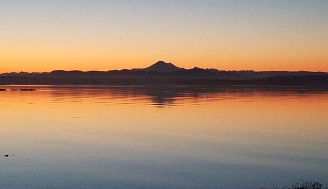 Charming waterfront 4 br gated estate on 8 acres with private beach and buoy.