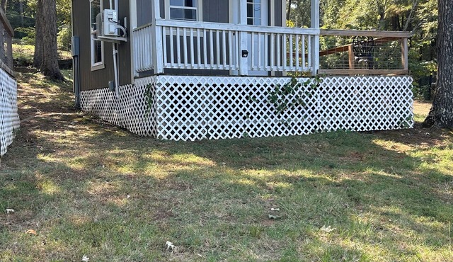 Charming waterfront 1-bedroom cabin next to boat launch and swimming area!